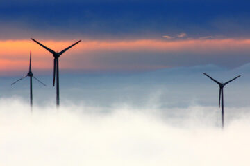 „Das BIP sagt nichts über die Lebensqualität aus“ OeP184_Felber_Oimheidi_pixabay_603x400