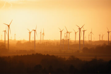 OeP184_Nauert__tdahl_pixabay_603x400