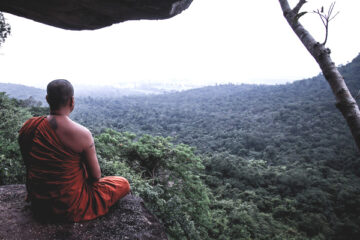 OeP186_8_Folkers_mahanoi_pixabay_604x400