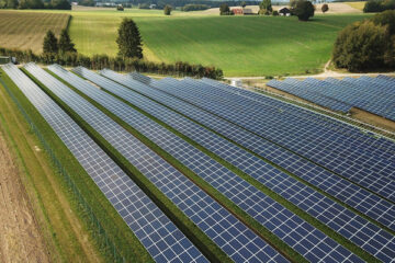 OeP187_Oekolumne_fabersam_pixabay