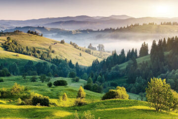 OeP187_Buecher_Yeskay1211_pixabay_603x400