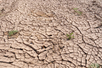 OeP189_Buecher_4_PublicDomainPictures_pixabay_603x400