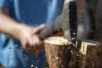 Stadt – Land – Spaltung? KO_2024-01-12_radex118_pixabay