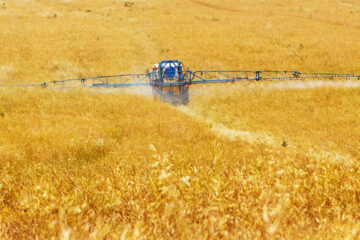 KO_2024-02-16_PublicDomainPictures_pixabay