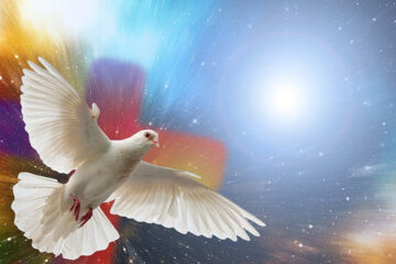 Geist, bitte bleib! KO_2024-05-17_geralt_pixabay