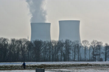 KO_2024-12-13_distelAPPArath_pixabay