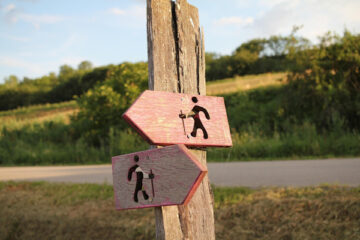 Wegweiser auf einem Feld. Foto: Pixabay/CheshireCat11
