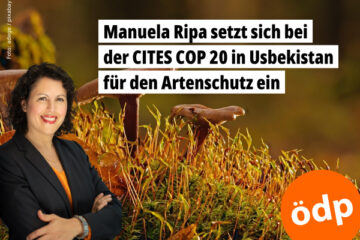 Artenvielfalt bewahren auf der Artenschutz-Konferenz CITES COP 20 im November 2025 in Usbekistan: Manuela Ripa (ÖDP) ist Mitverhandlerin der Position des Europäischen Parlaments und Co-Leiterin von dessen Delegation. Foto: adege / pixabay.com