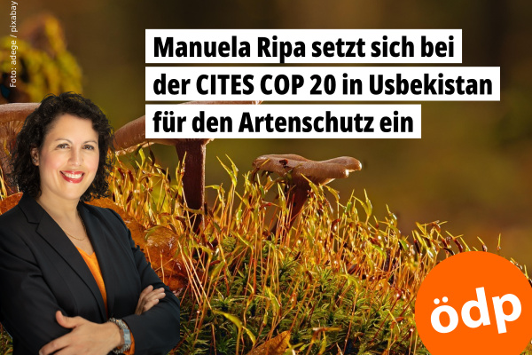Artenvielfalt bewahren auf der Artenschutz-Konferenz CITES COP 20 im November 2025 in Usbekistan: Manuela Ripa (ÖDP) ist Mitverhandlerin der Position des Europäischen Parlaments und Co-Leiterin von dessen Delegation. Foto: adege / pixabay.com