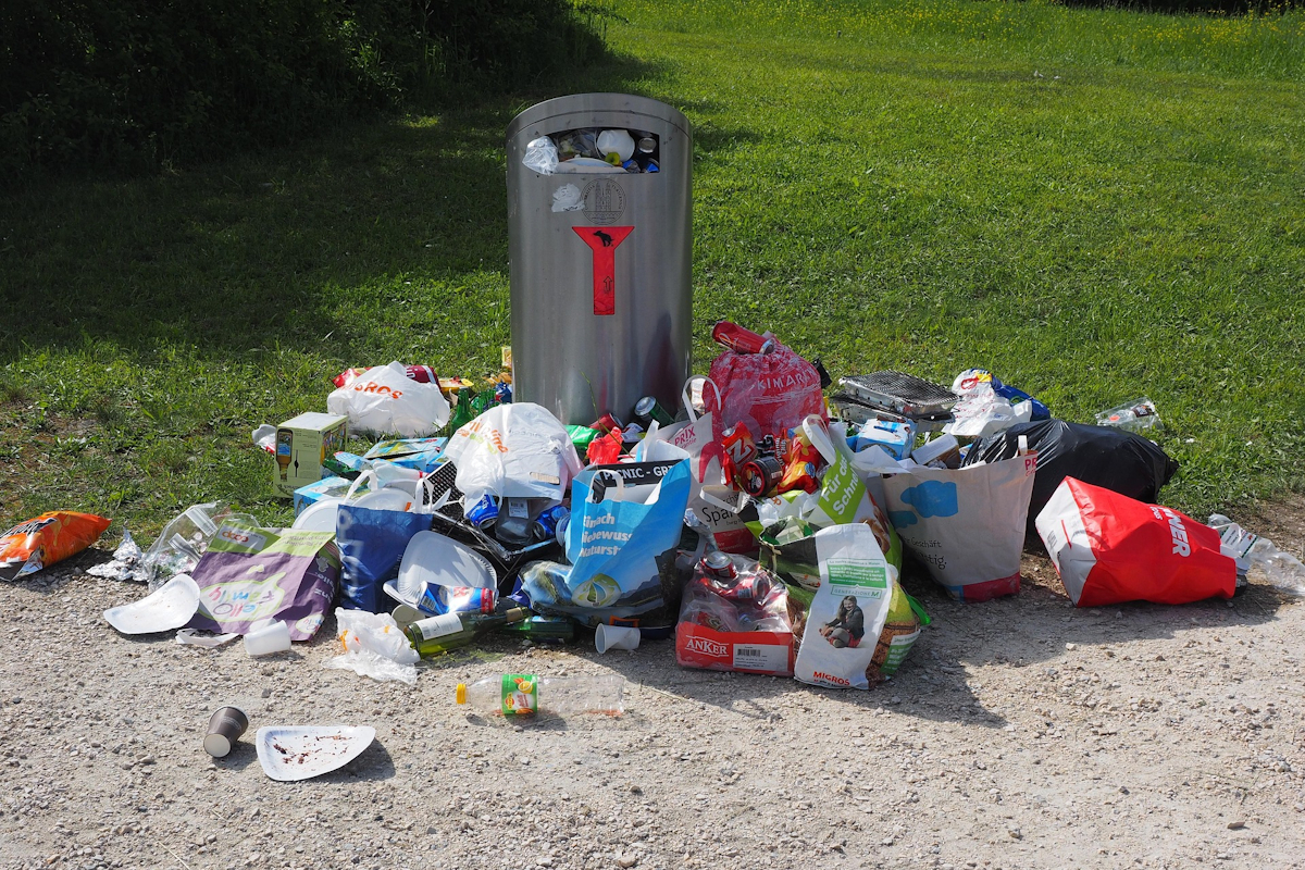 Müll auf einer Wiese an einem übervollen Mülleimer. Foto: Hans / Pixabay