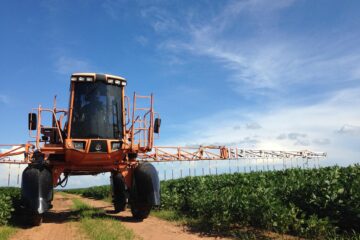Der EU-Mercosur-Deal fördert u. a. Entwaldung und exzessiven Pestizideinsatz, die wir dringend stoppen müssten. EU-Abgeordnete Manuela Ripa (ÖDP) findet dazu klare Worte. Foto: emersonbegnini / Pixabay