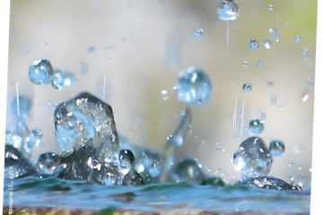 Mehr ÖkologiePolitik! Wasser in der ÖkologiePolitik 202