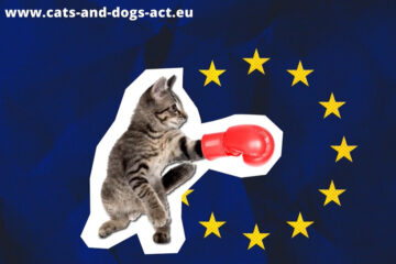 Die Grafik zeigt eine fotomontierte Katze mit einem Boxhandschuh und dahinter die EU-Flagge. Angegeben wird die Internetseite www.cats-and-dogs-act.eu. Grafik: Screenshot Video von Manuela Ripa