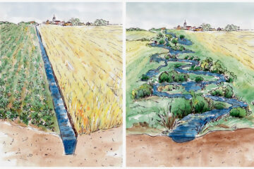 Natürlich geschwungene Bachläufe stellen wichtige Bausteine eines wirksamen Hochwasser- und Dürreschutzes dar. Grafik: Otto Baronky (© Heike Brückner)