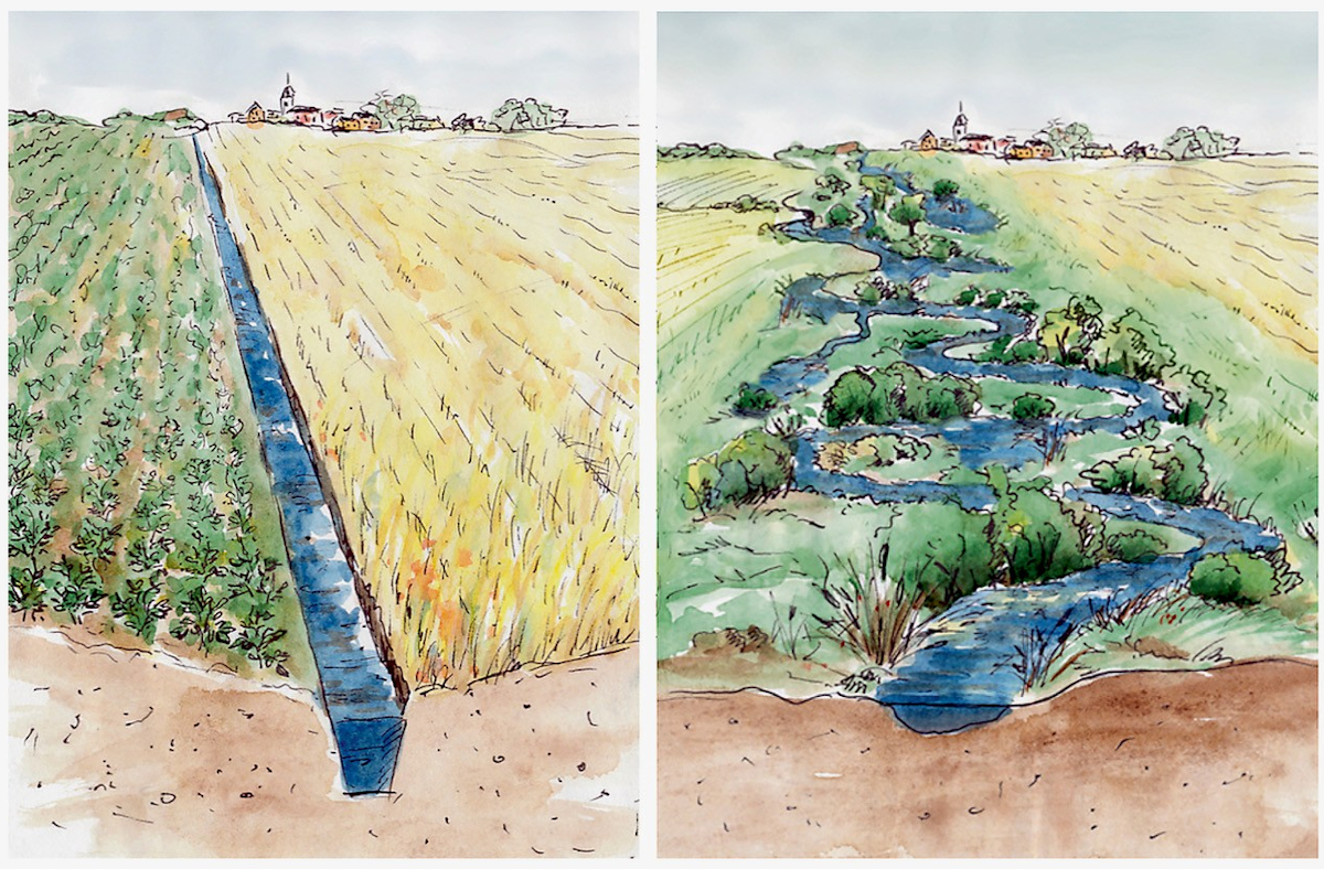 Natürlich geschwungene Bachläufe stellen wichtige Bausteine eines wirksamen Hochwasser- und Dürreschutzes dar. Grafik: Otto Baronky (© Heike Brückner)