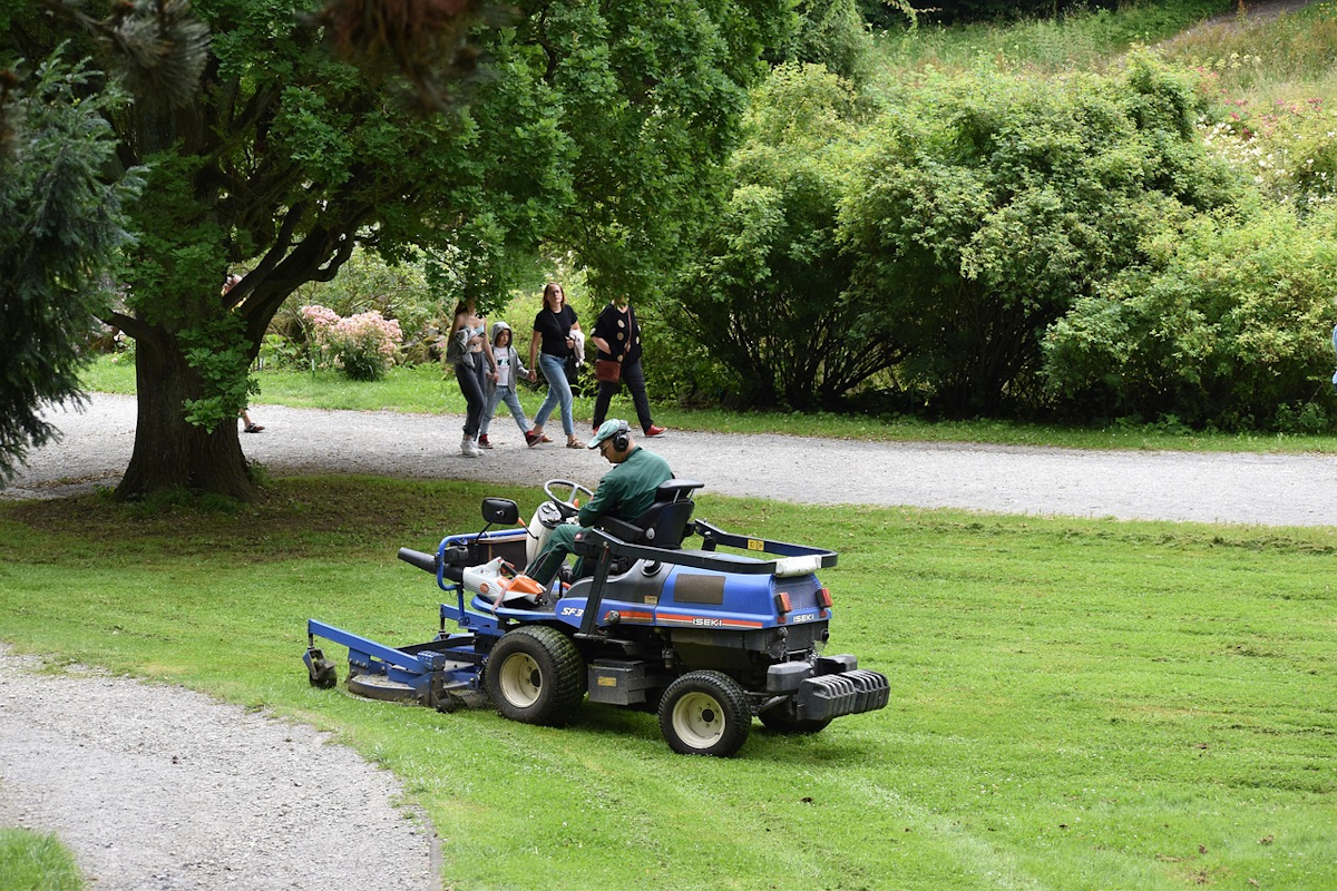 Ein Mann sitzt auf einem Aufsitzmäher und bearbeitet den Rasen in einem Park. Foto: AndreaGibhardt / pixabay.com https://pixabay.com/photos/lawn-mower-machine-grass-cutter-6522294/