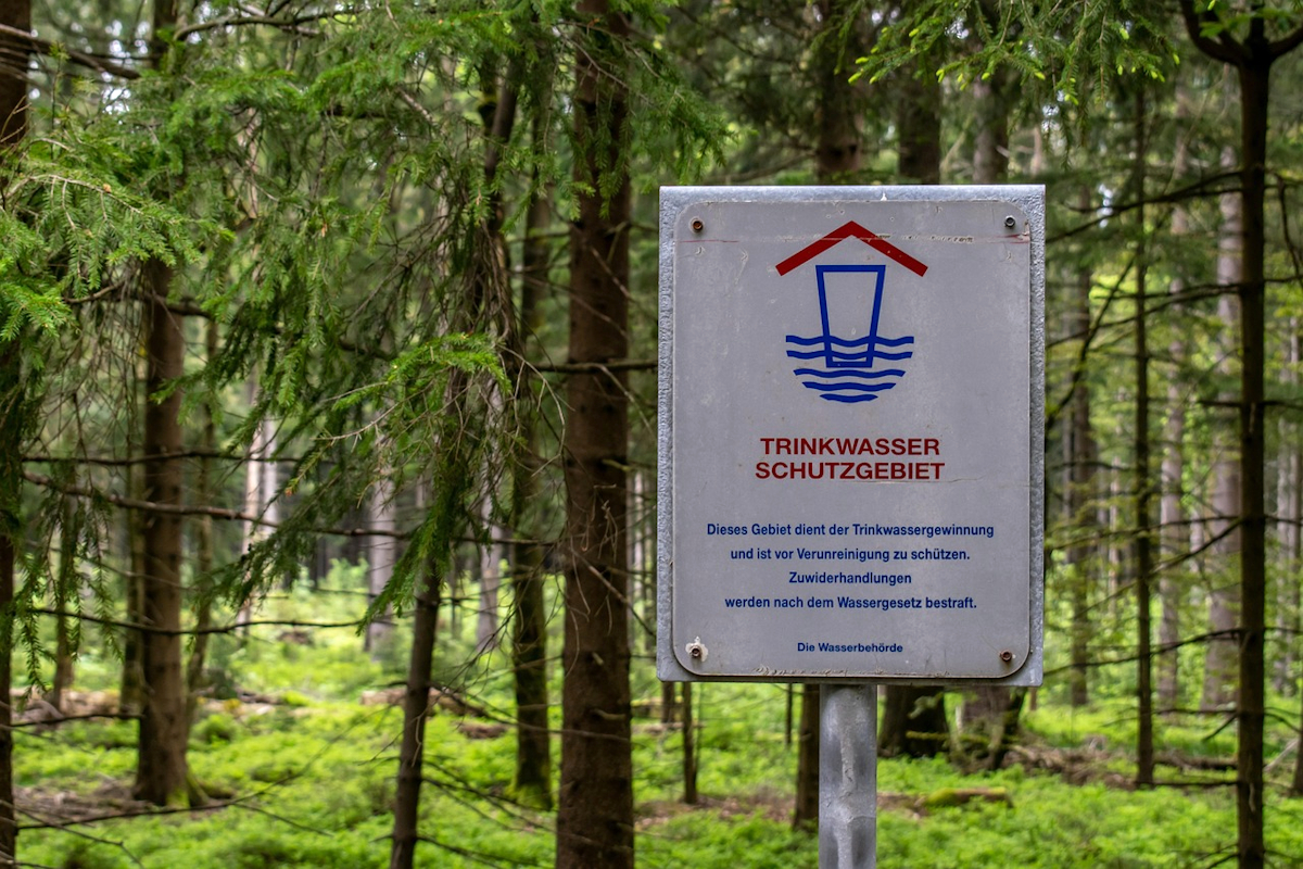 Schild eines Trinkwasserschutzgebiets in einem Nadelwald. Foto: Coernl / pixabay.com