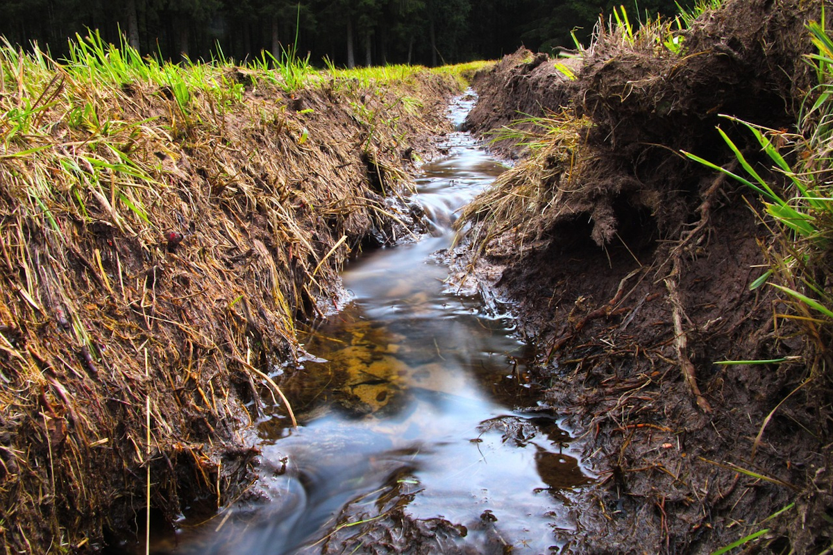 Für eine einfachere Bewirtschaftung in Zeiten mit ausreichend Regen wird das Wasser gerne aus Wald und Wiesen abgeleitet. Doch angesichts immer längerer Dürrephasen sollte diese Praxis gestoppt werden. Foto: dobby_jona / pixabay.com