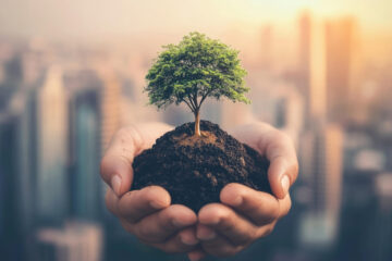 Eine Wirtschaftspartei für ein gutes Leben für alle Wir Menschen tragen selbst Verantwortung für unsere Lebensbedingungen und die unserer Nachkommen. Dies erfordert eine nachhaltige Transformation der Wirtschaft. Die Verantwortung wird symbolisiert durch einen Baum in den Händen eines Menschen. Computergenerierte Grafik: Yamu_Jay / pixabay.com